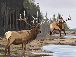 Colorado