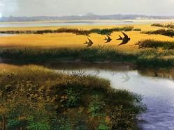 Cape Cod marsh