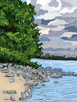 Beach stones