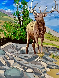 Elk