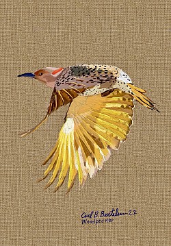 Woodpecker , $200