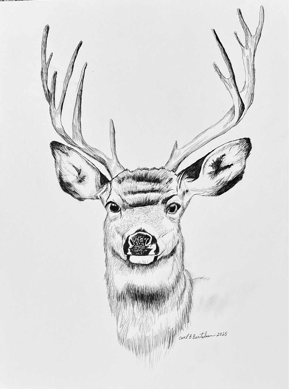 Deer pencil